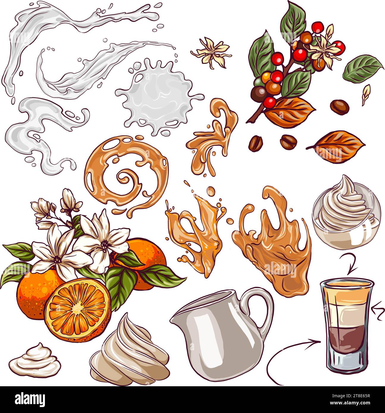 set of elements for design coffee cream orange, drawn sketches for design, splashes and drops of liquid for decoration, suitable for creating menus, l Stock Vector