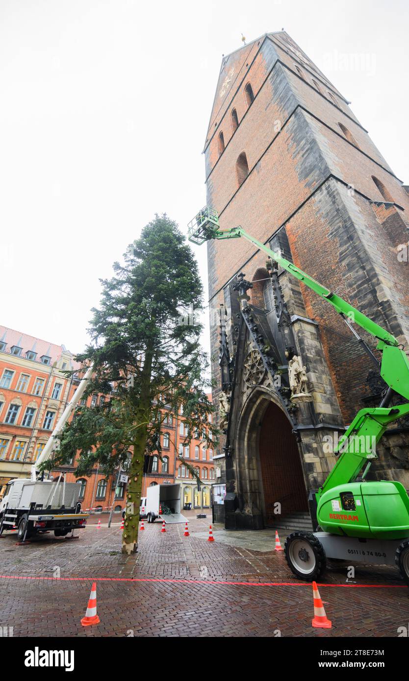 Hanover Germany 20th Nov 2023 Workers Use Cherry Pickers To hanover-germany-20th-nov-2023-workers-use-cherry-pickers-to