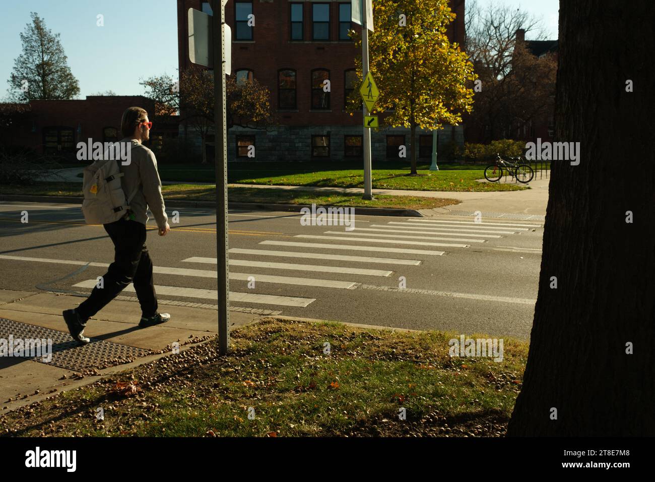 A male student about the cross a street on the campus of Michigan State University, East Lansing Michigan USA Stock Photo