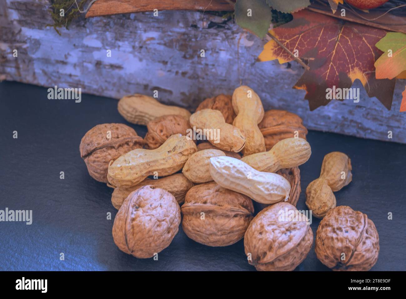 WINTERTIME : NUTS Stock Photo