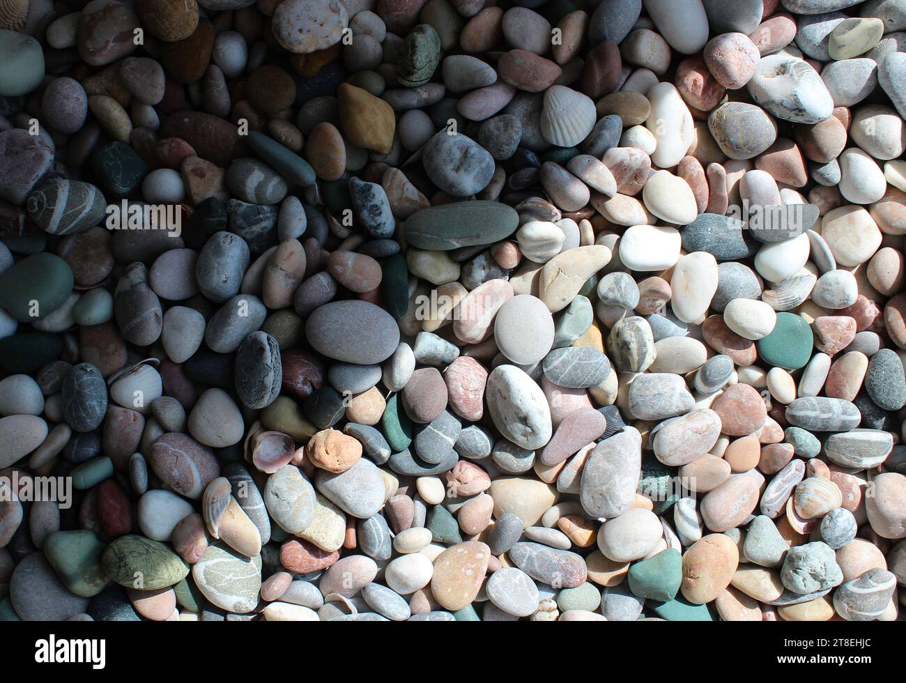 https://c8.alamy.com/comp/2T8EHJC/a-pattern-of-sea-pebbles-separated-by-the-suns-rays-into-illuminated-and-shadow-zones-2T8EHJC.jpg