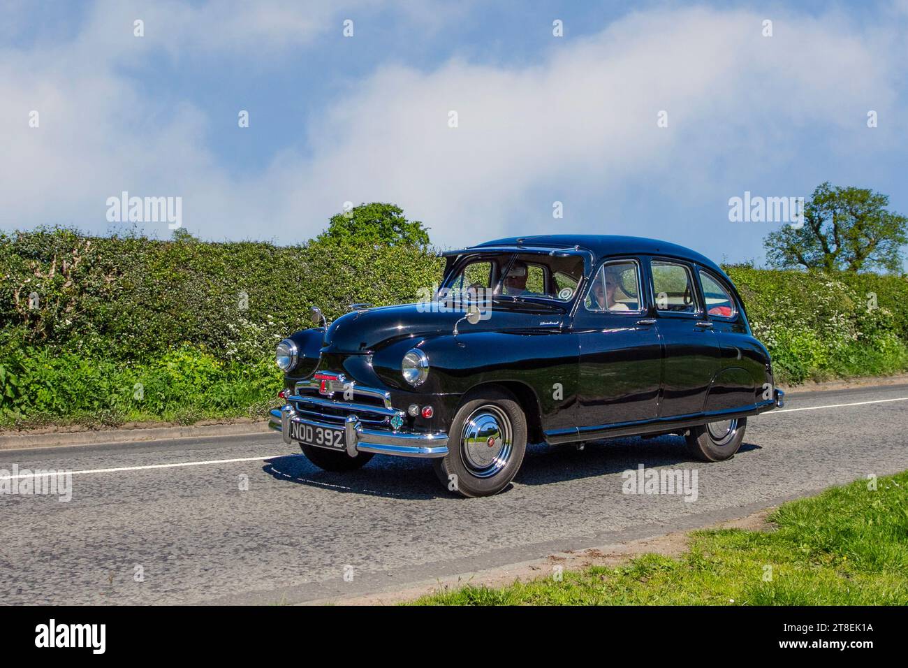 1952 50s fifties Black  Standard Vanguard Phase 1A (1948-52), Engine 2088cc S4 OHV, six-seat saloon; Vintage cars restored British classic motors, automobile collectors,  motoring enthusiasts and historic veteran cars travelling in Cheshire, UK Stock Photo