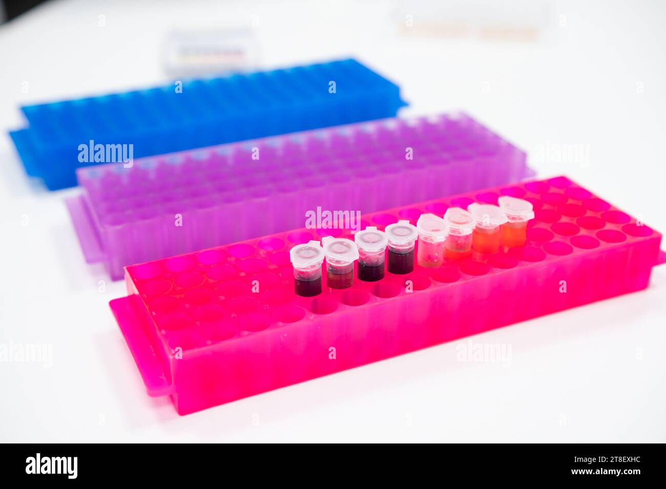 Test tubes in colorful racks for chemical analysis Stock Photo Alamy