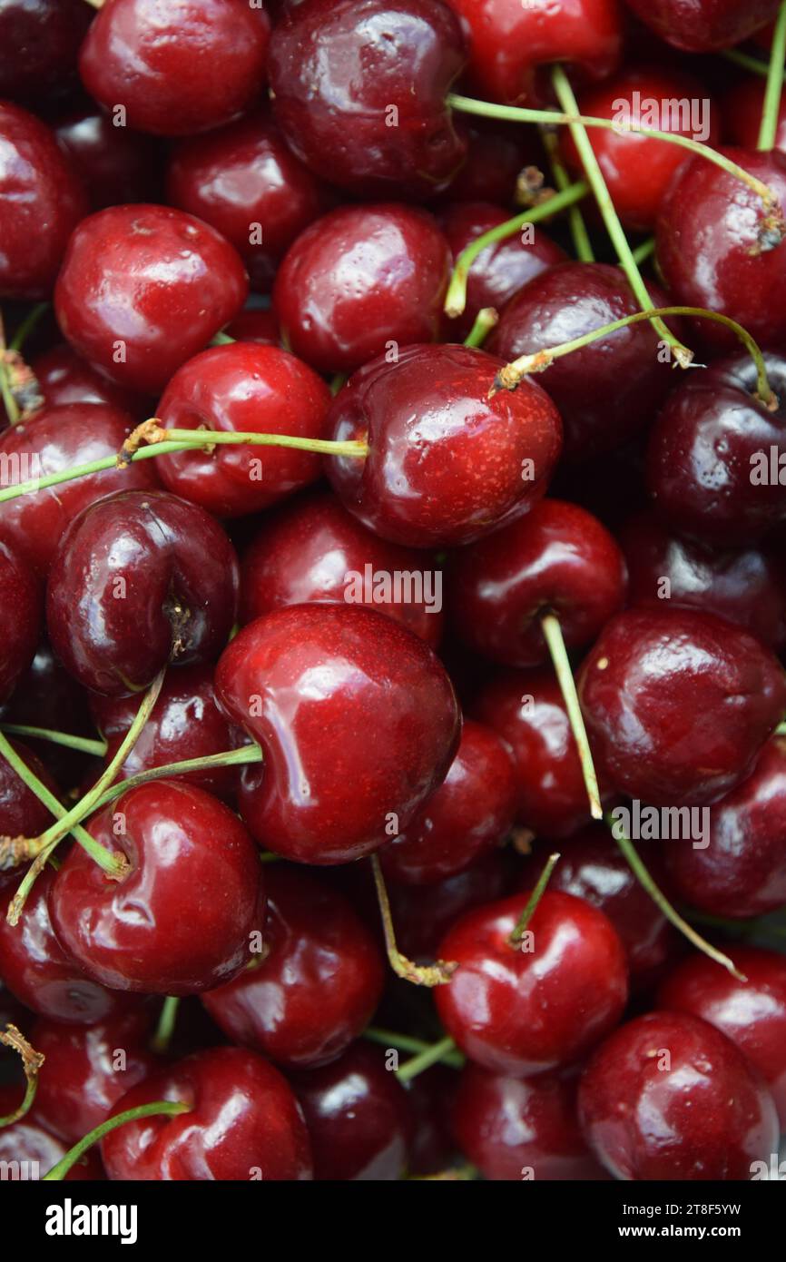 Cherries vertical background backdrop hi-res stock photography and ...