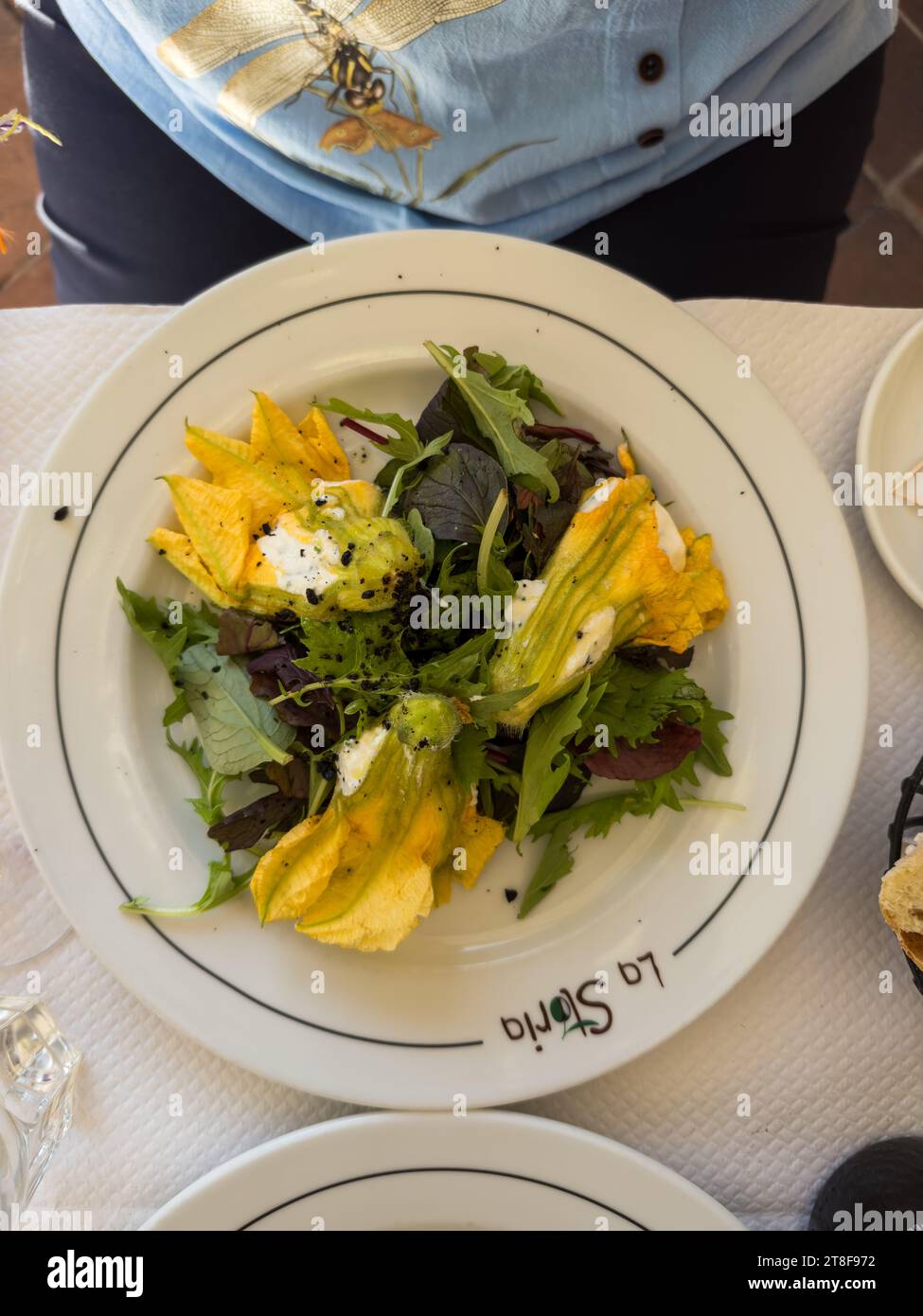 Zucchini flower with goat cheese Stock Photo Alamy