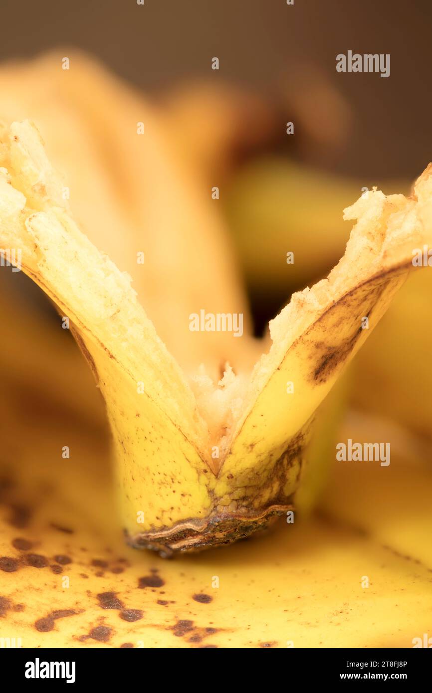 Intriguing semiabstract close up food still life of banana peel