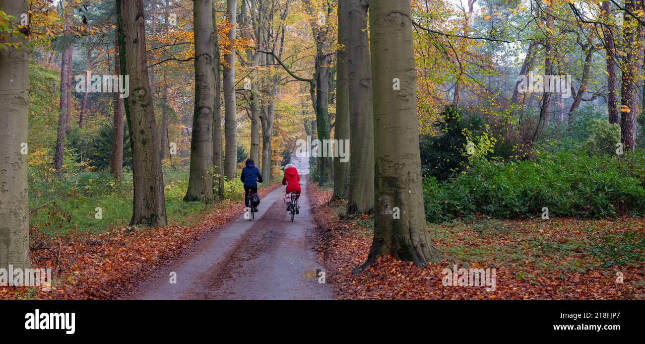 two women on bicycle in fall forest between colorful leaves Stock Photo ...