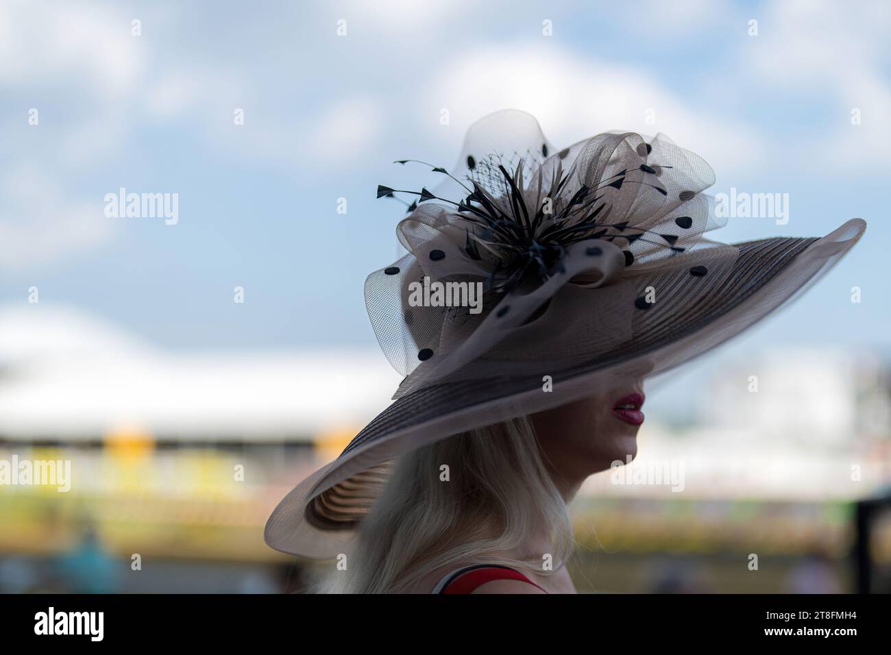 An attendee at a horse race, wearing a fancy hat Stock Photo Alamy
