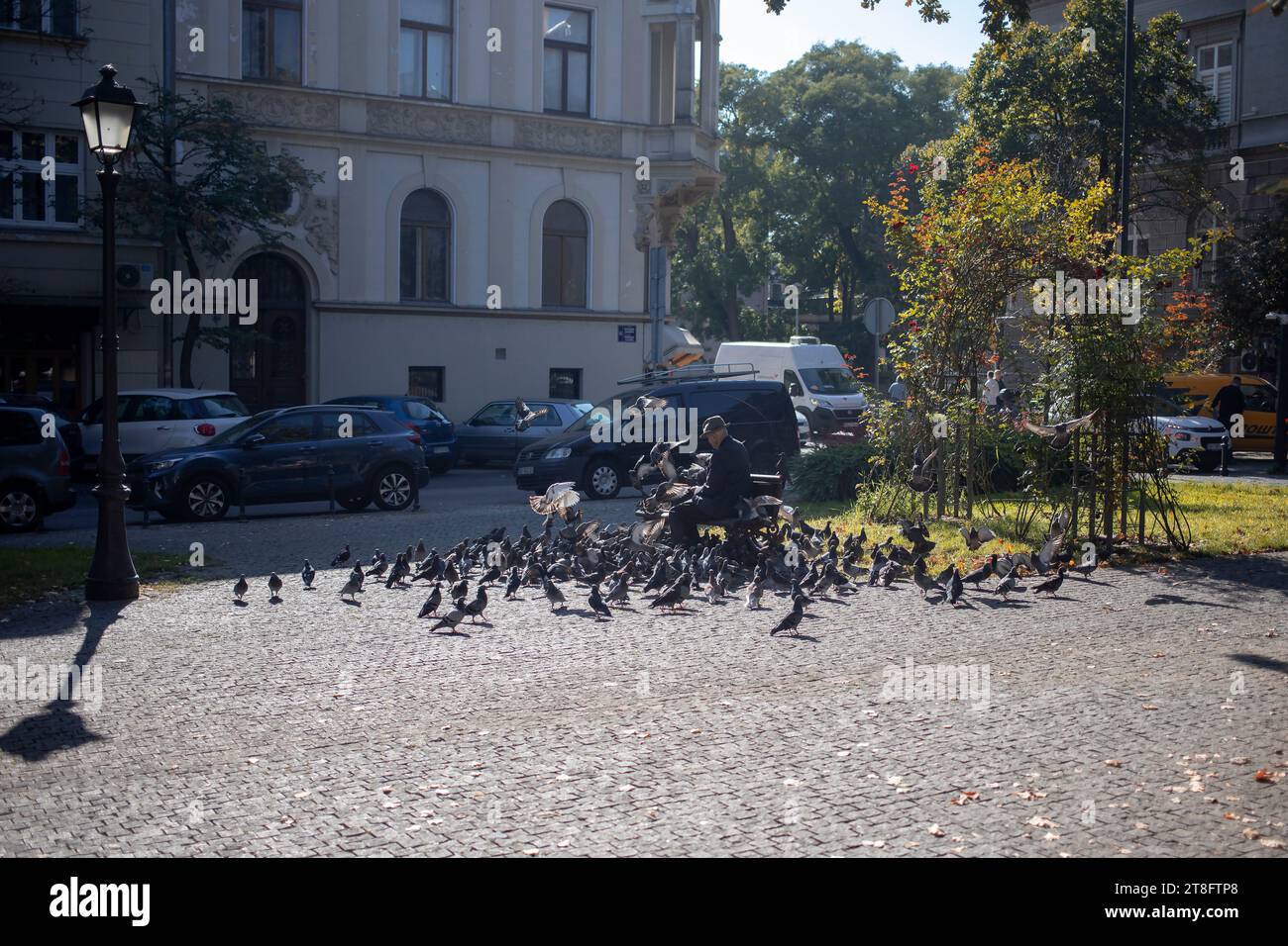 Belgrade, Serbia, Oct 18, 2023: An elderly gentleman feeding pigeons in the park Stock Photo