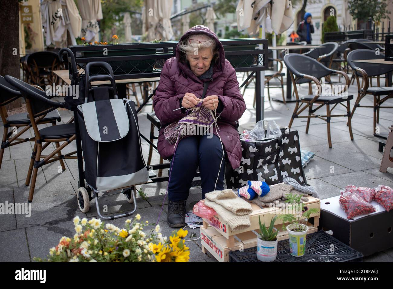 Belgrade, Serbia, Nov 10, 2023: An elderly lady sells flowers, gloves and socks on the improvised street stall while knitting Stock Photo
