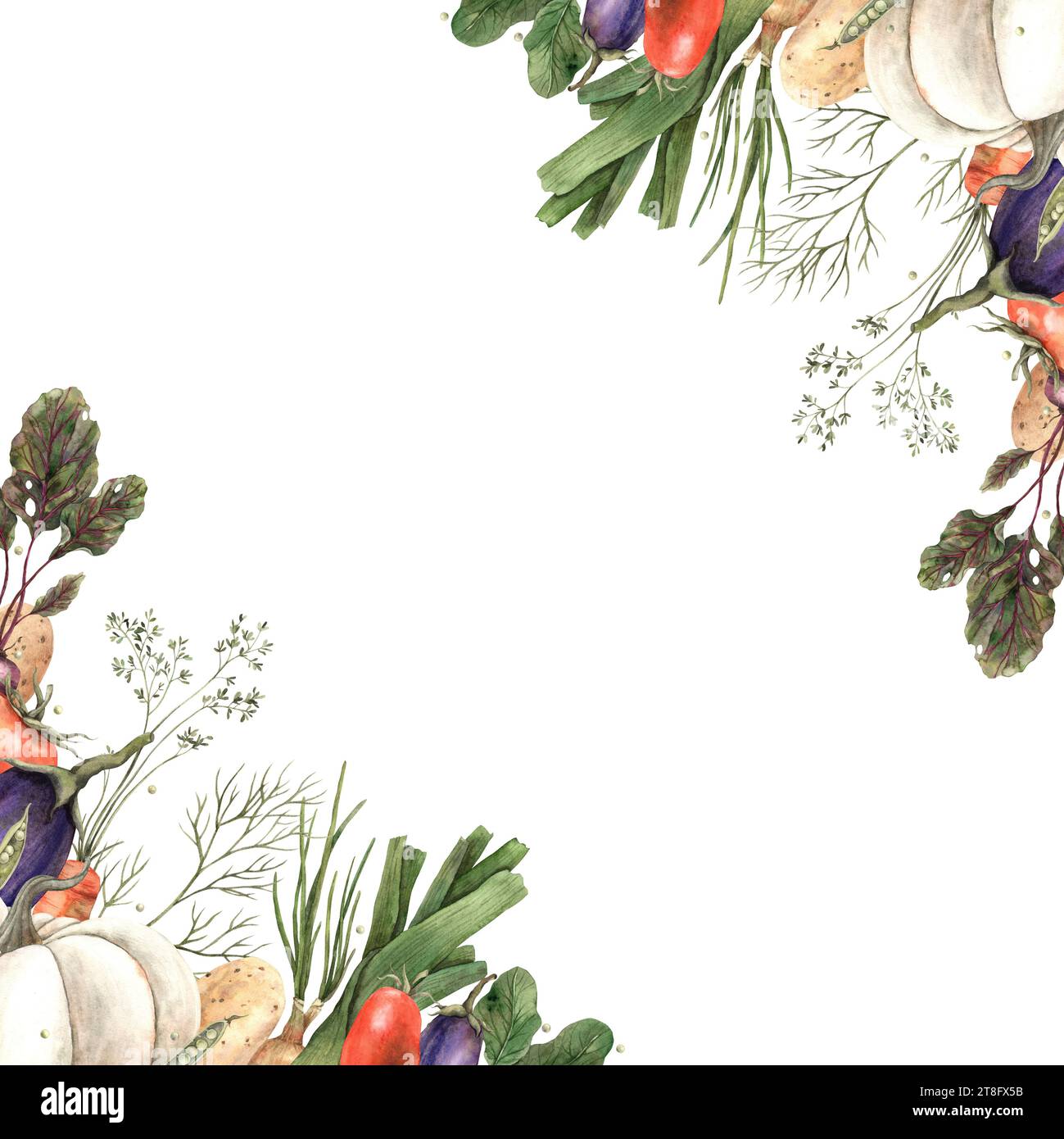 Frame, board, poster of different vegetables: pumpkin, radishes, beets ...
