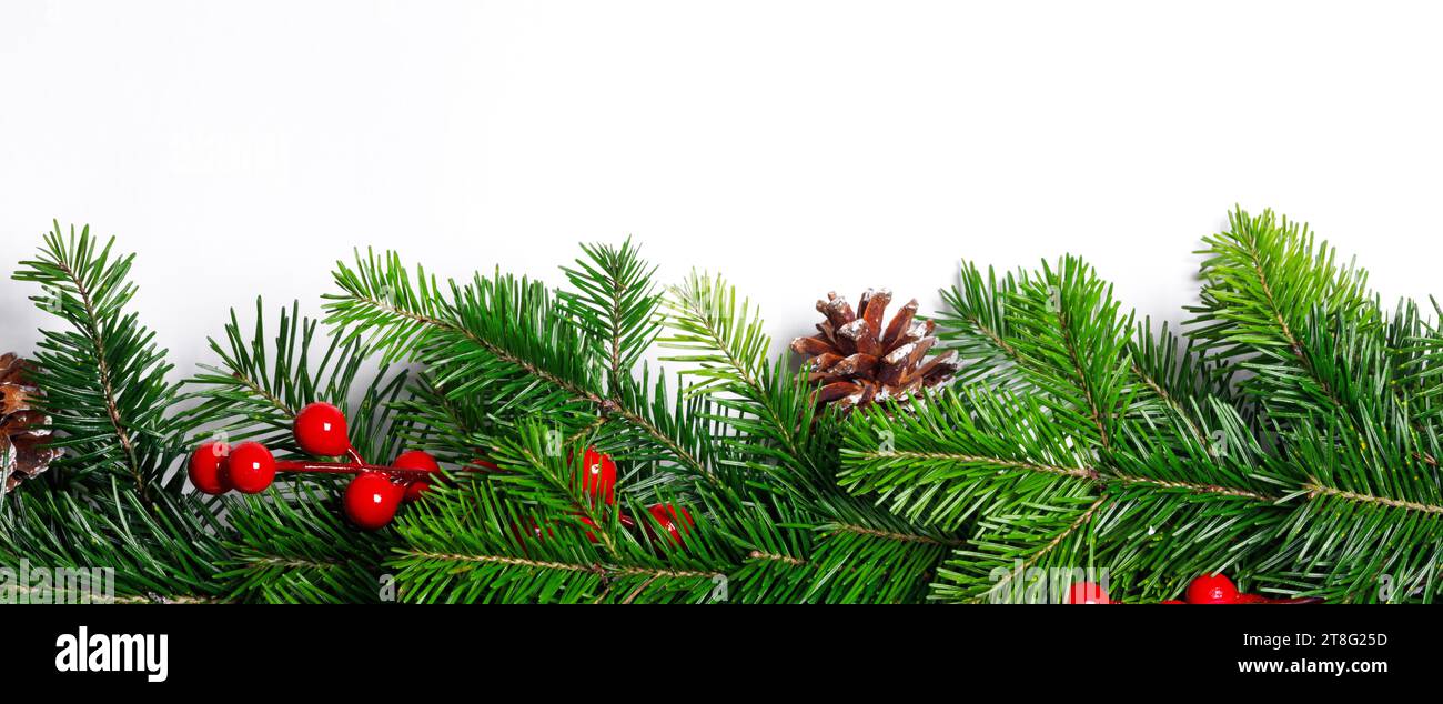 Christmas decoration design element of fir tree branches pine cones and ...