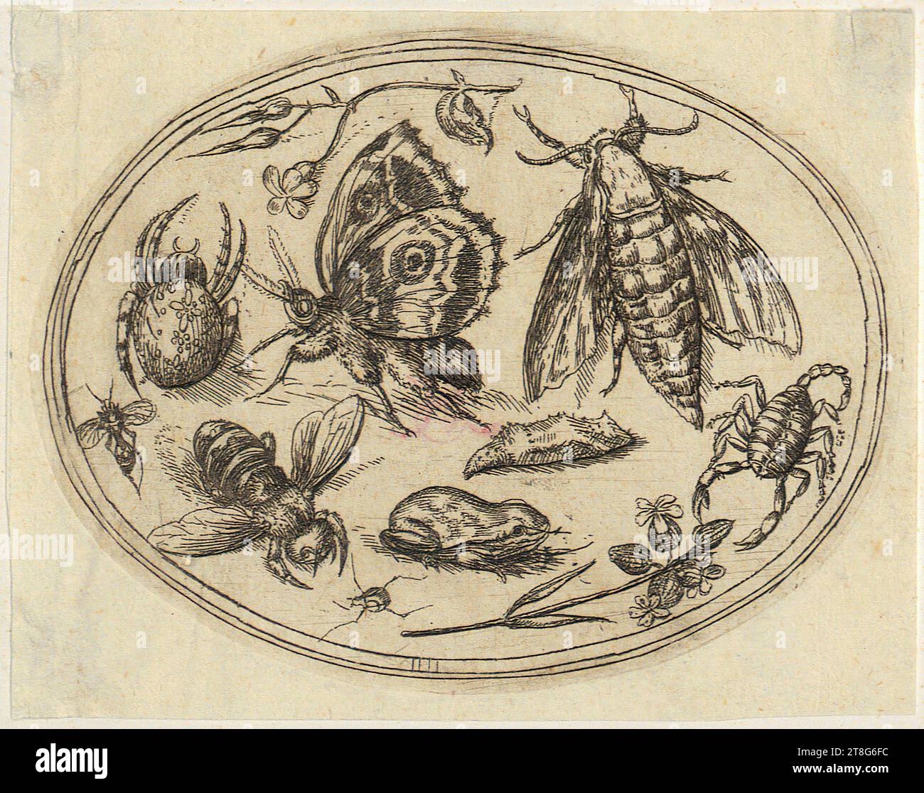 Wenzel Hollar (1607 - 1677), Various insects, Origin of print: c. 1630 - 1677 ?, Etching, Sheet size: 9.4 x 12.0 cm Stock Photo