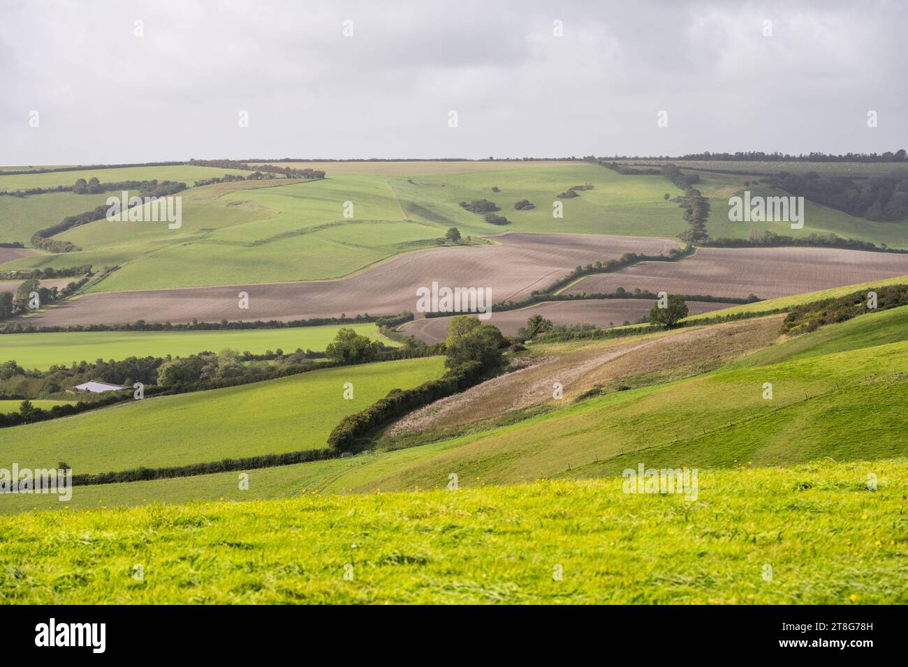 Sun shines on the rolling hills of Englan's Dorset Downs above the Sydling Valley. Stock Photo