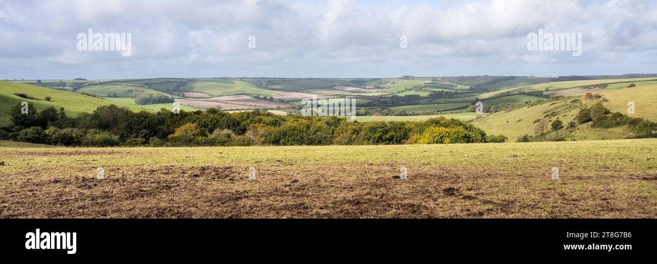 Farmland fields and patchwork woodland fill the Sydling Valley under the rolling chalk hills of England's Dorset Downs. Stock Photo
