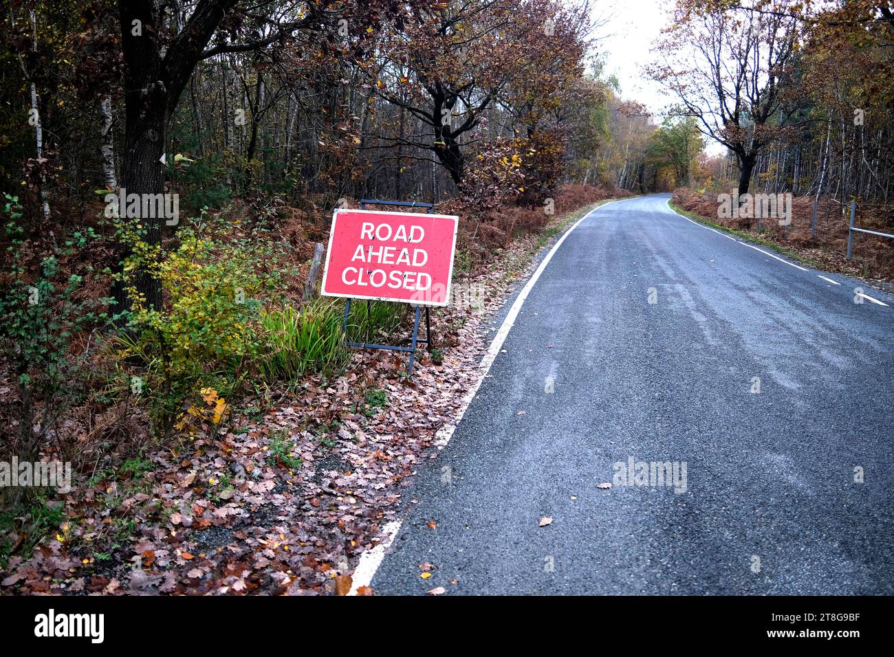 road ahead closed sign in west blean and thornden woods,kent,uk Stock Photo