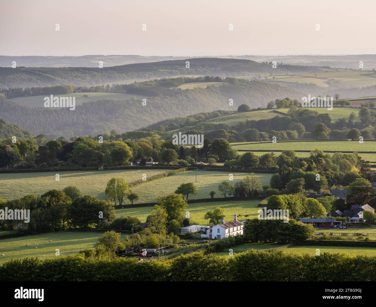 Morning mist rises from Lydford Forest and Lew Wood in the Lyd and Lew valleys of West Devon, as seen from Brent Tor hill. Stock Photo