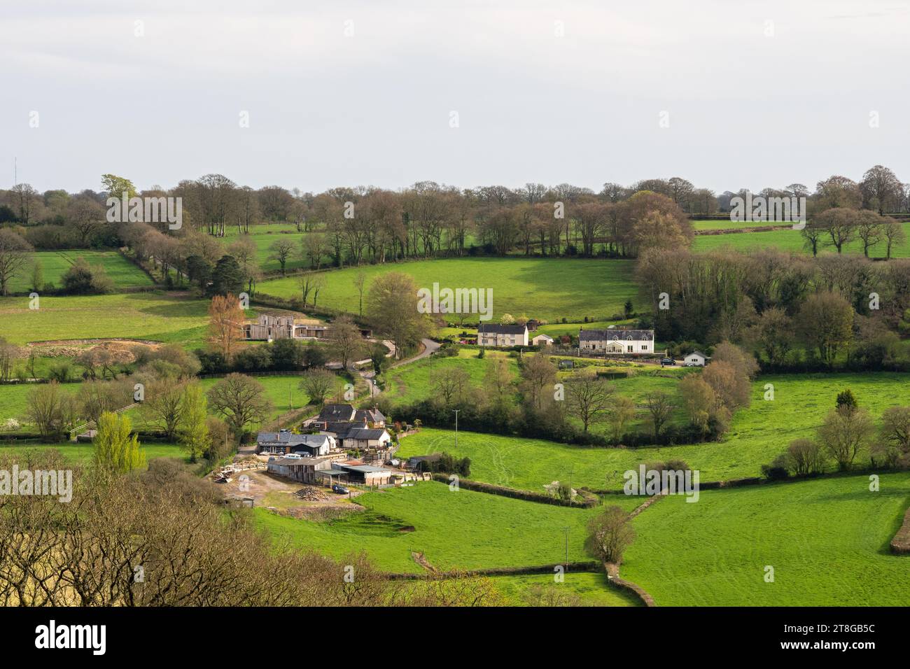 Spring sunshine falls on scattered cottages and barns amongst farmland fields and trees on the slopes of the Culm Valley in the Blackdown Hills of Dev Stock Photo