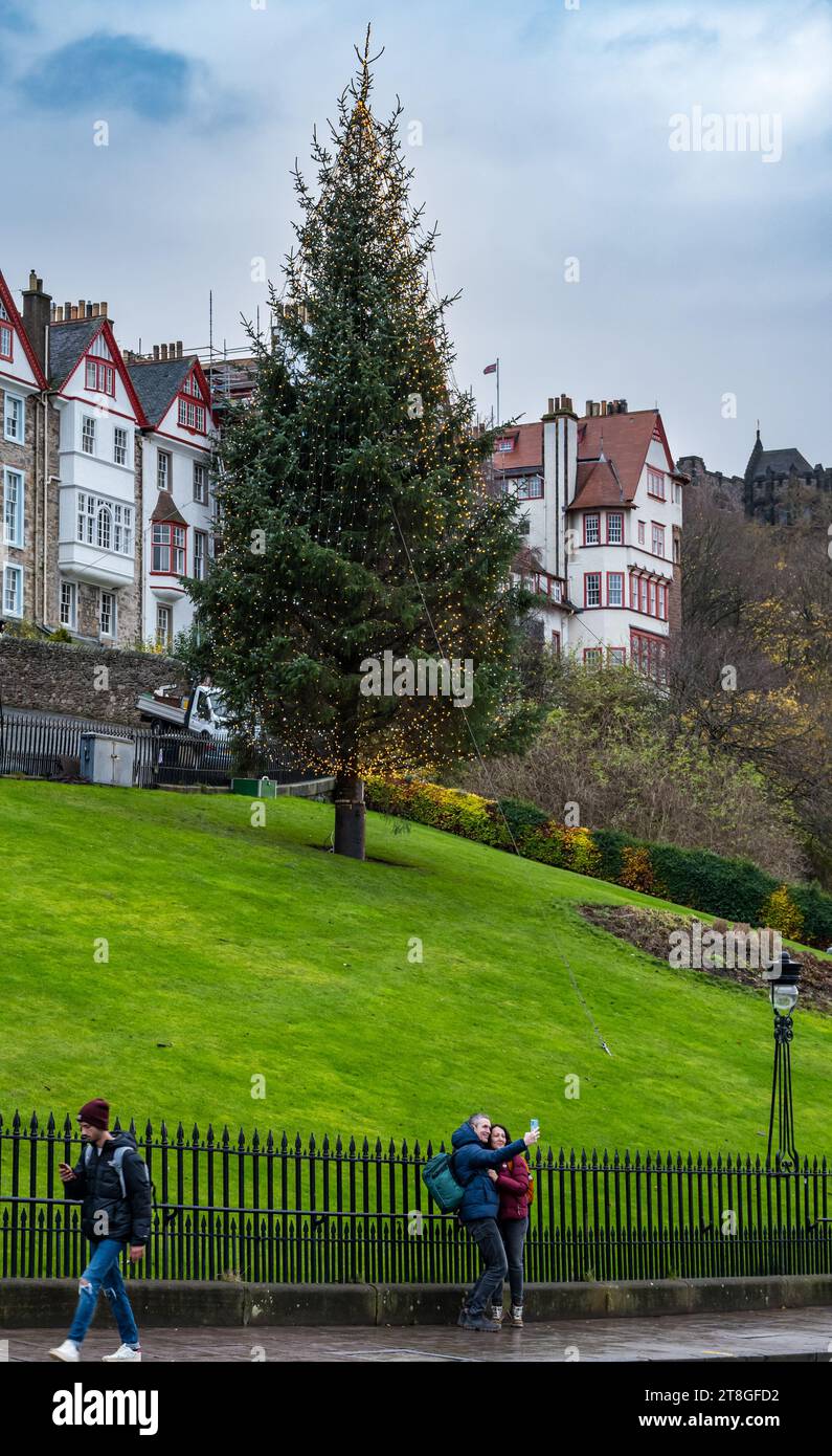 Edinburgh, Scotland, UK, 20th November 2023. The Norwegian Christmas tree on The Mound, an annual gift from Vestland County Council, is an attraction in the dusk light just before its official switch on t. Credit: Sally  Anderson/Alamy Live News Stock Photo