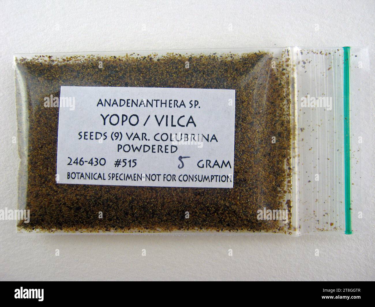 Anadenanthera colubrina var. cebil 'YOPO' Stock Photo