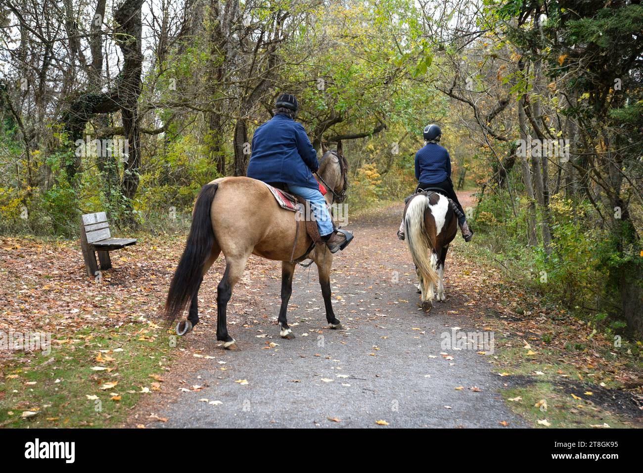 Two women riding horses along a public trail in Abingdon, Virginia