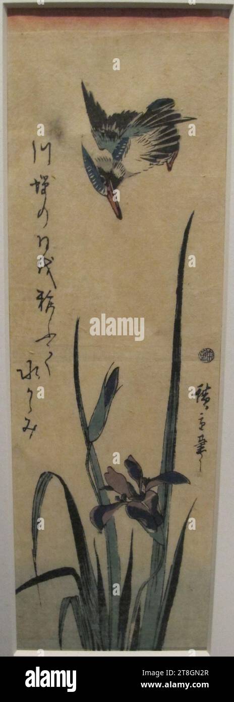 Utagawa hiroshige, iris con martin pescatore, XIX sec. Stock Photo