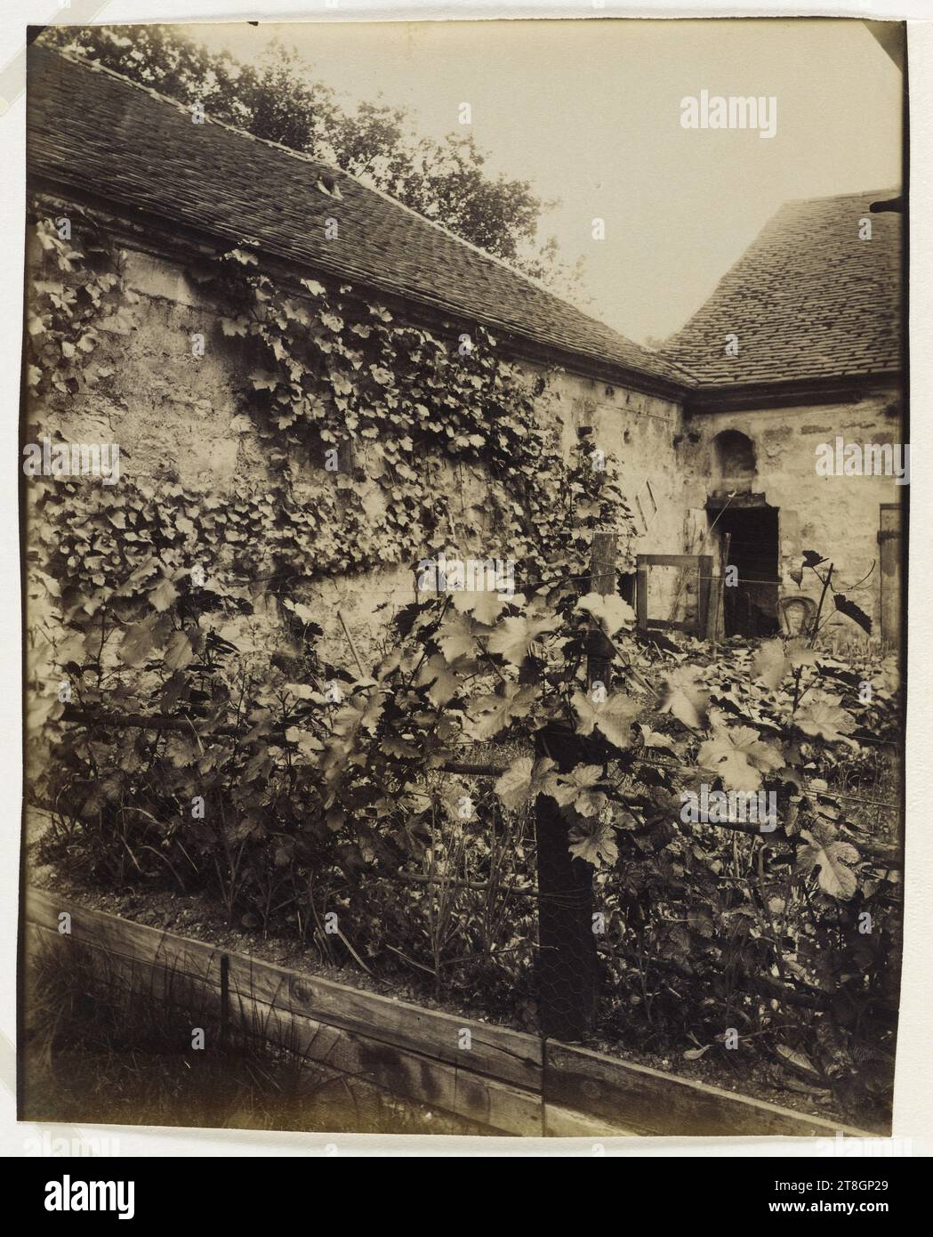 Wine halls of Bercy warehouses, rue Laroche, 12th arrondissement, Paris