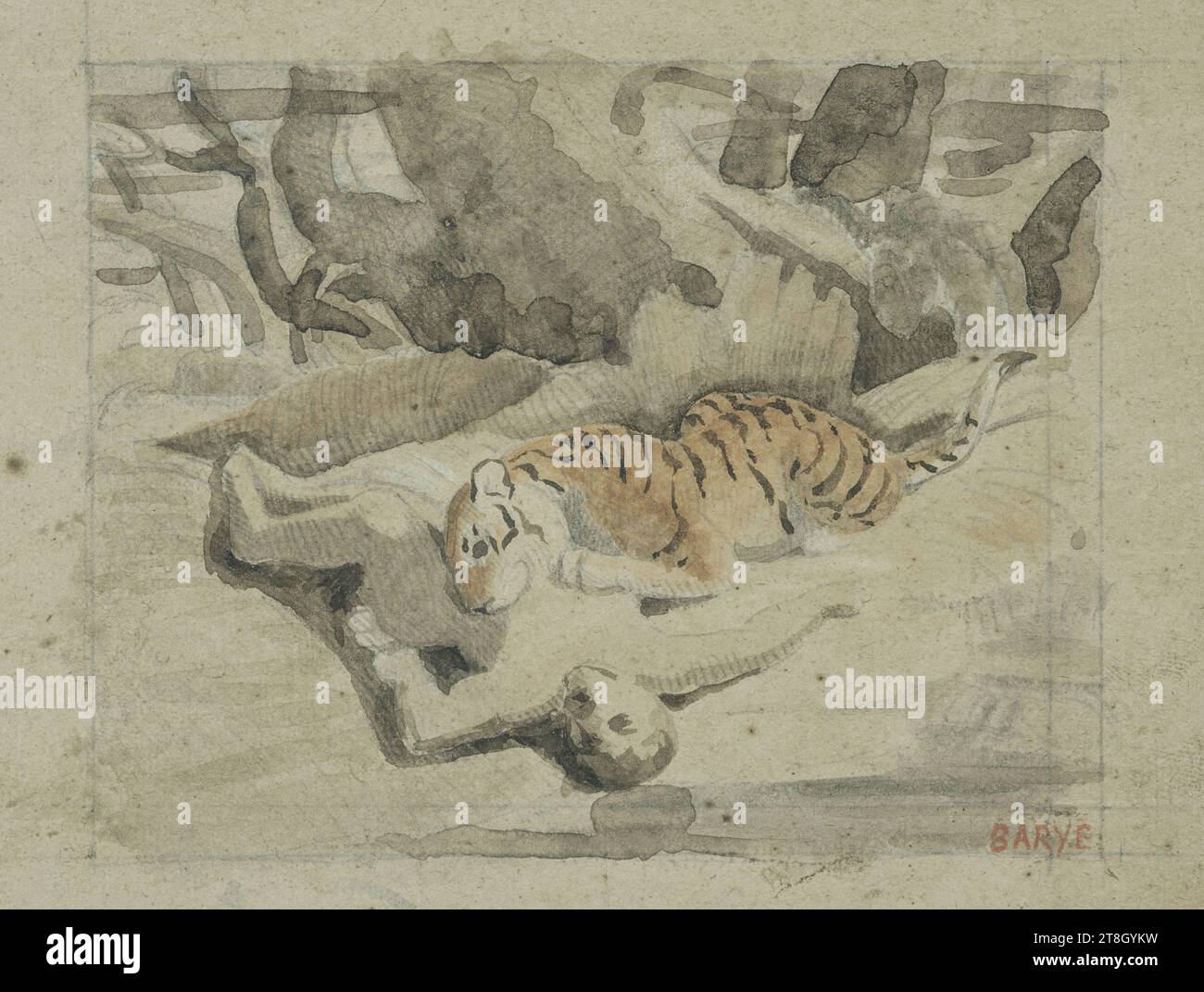 Tiger devouring a man hi-res stock photography and images - Alamy