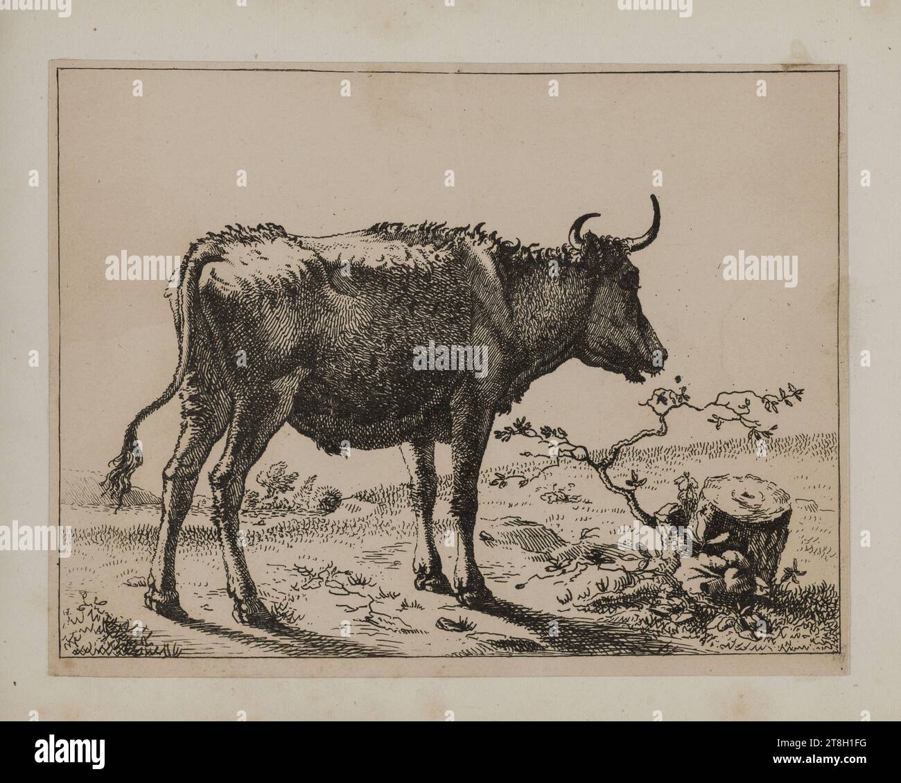Collection of 20 animal engravings after Nicolas Berchem, Engraver ...