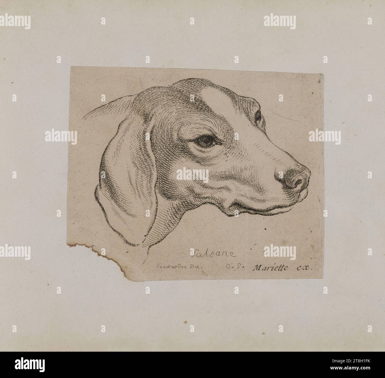 Collection of 20 animal engravings after Nicolas Berchem, Engraver ...