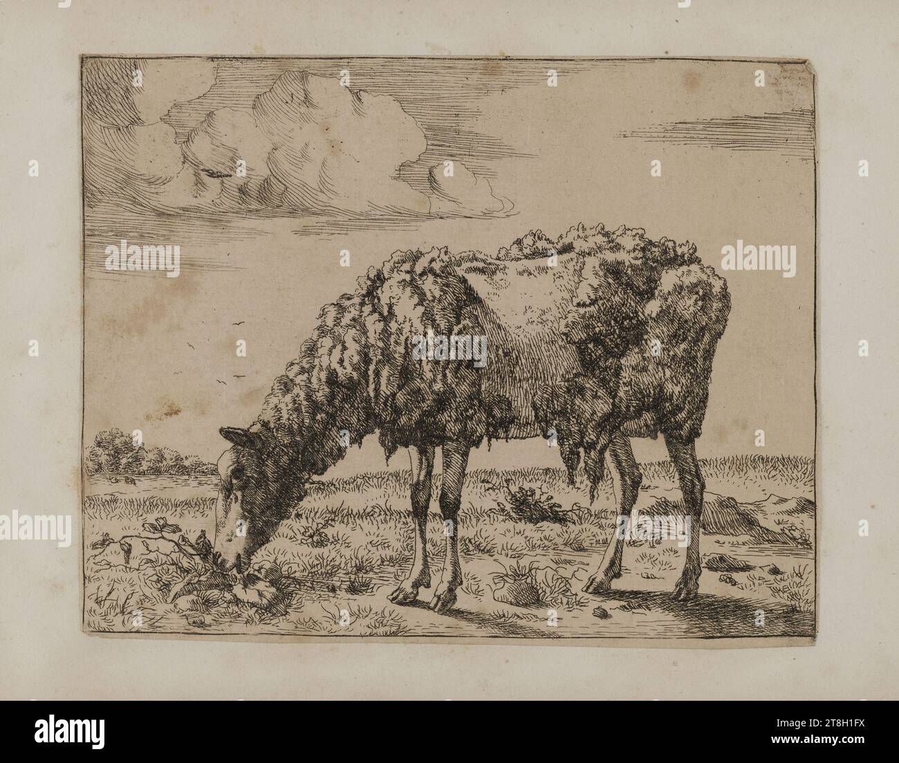 Collection of 20 animal engravings after Nicolas Berchem, Engraver ...