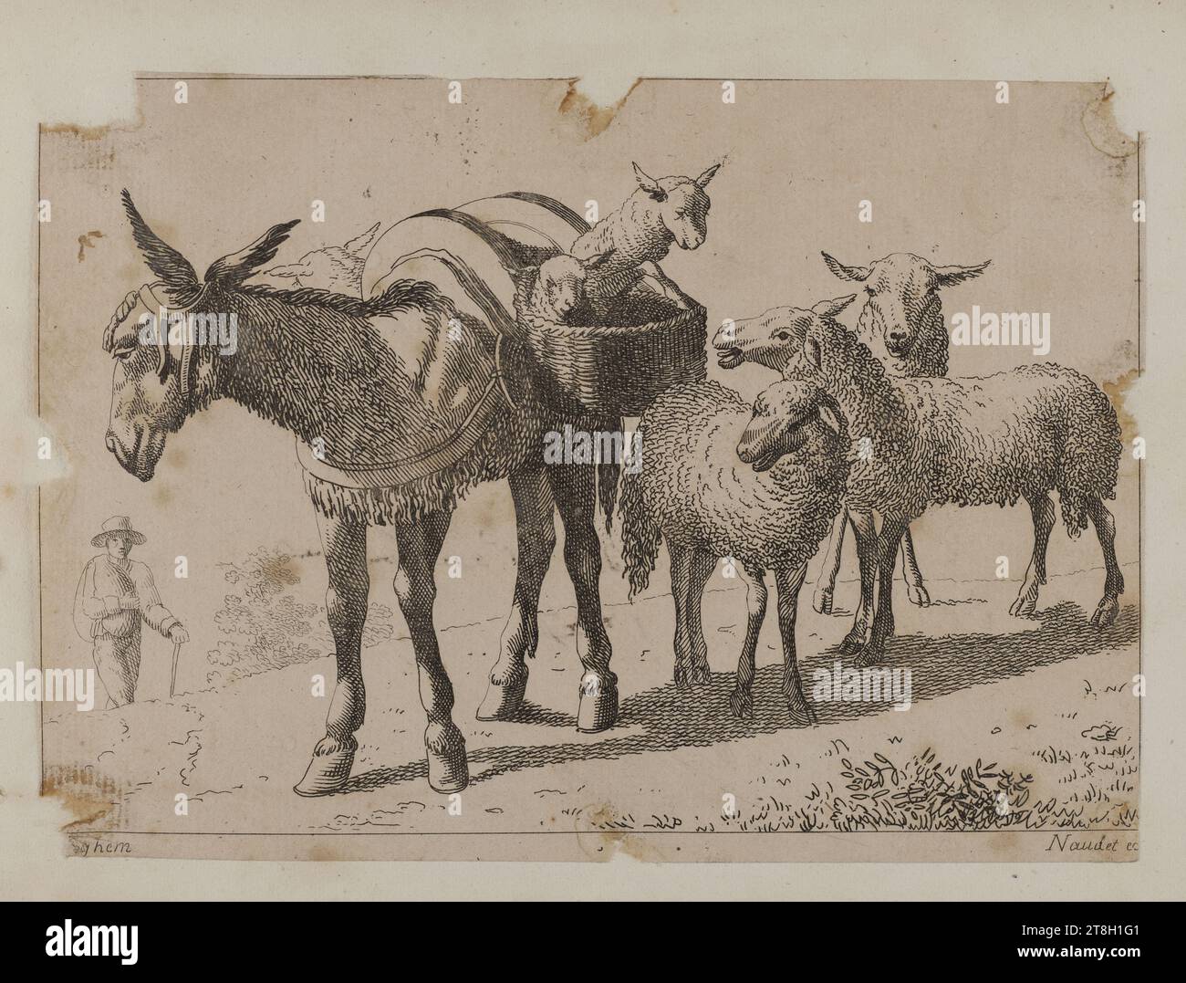 Collection of 20 animal engravings after Nicolas Berchem, Engraver ...