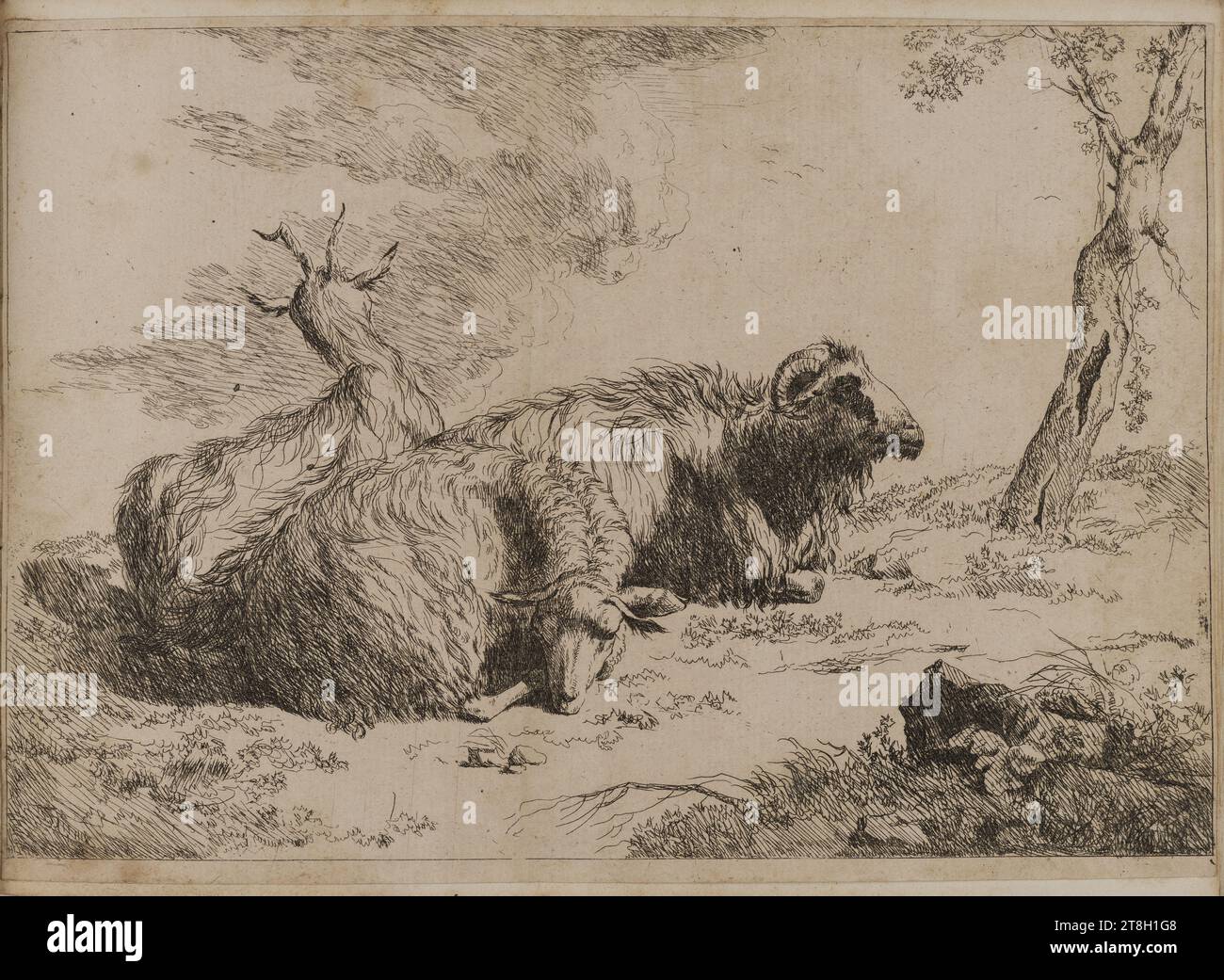 Collection of 20 animal engravings after Nicolas Berchem, Engraver ...