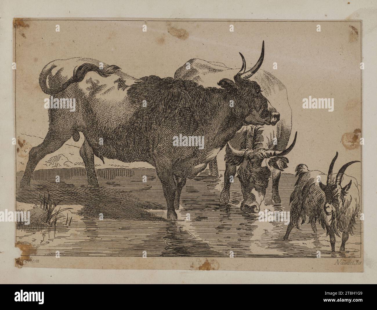 Collection of 20 animal engravings after Nicolas Berchem, Engraver ...