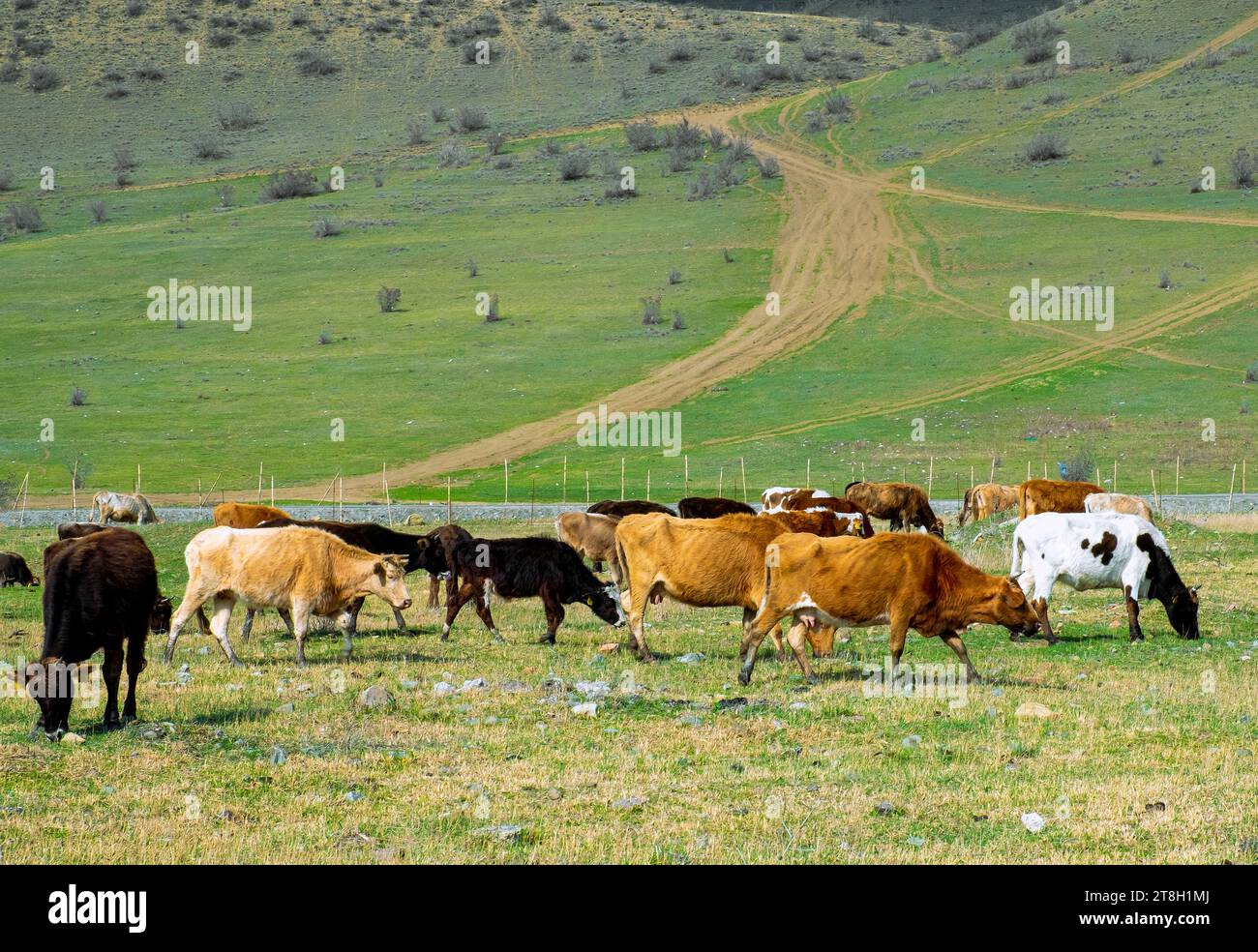 View of Agricalture hi-res stock photography and images - Alamy