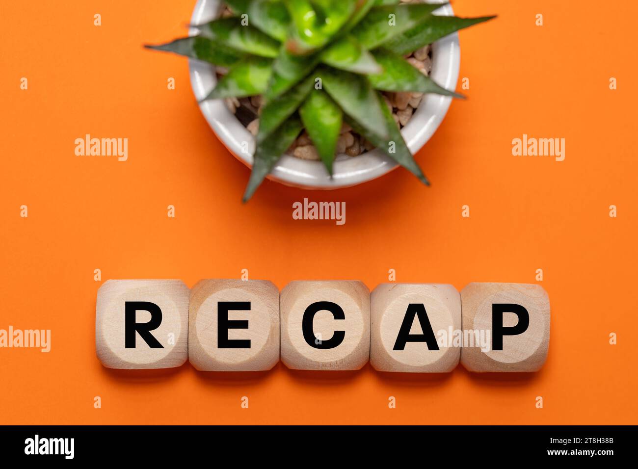 Recap symbol, Conceptual word ,Recap, on wooden cubes, Beautiful orange background with succulents, Business concept, Business summary, copy space, fl Stock Photo