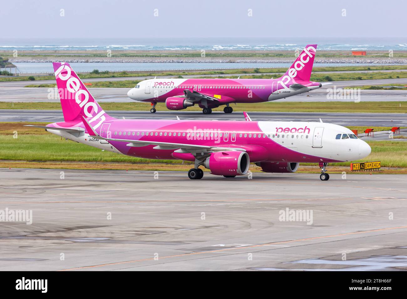 Peach Airbus A320 neo ※最終値下げ Peach Aviation A320neo - Features - Infinite Flight Community