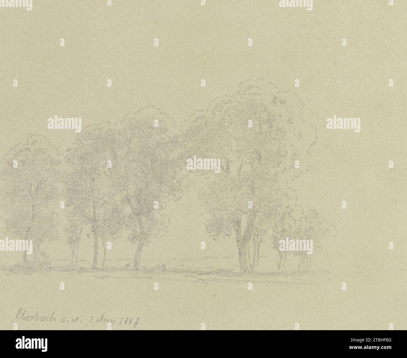 A mixture of trees hi-res stock photography and images - Alamy