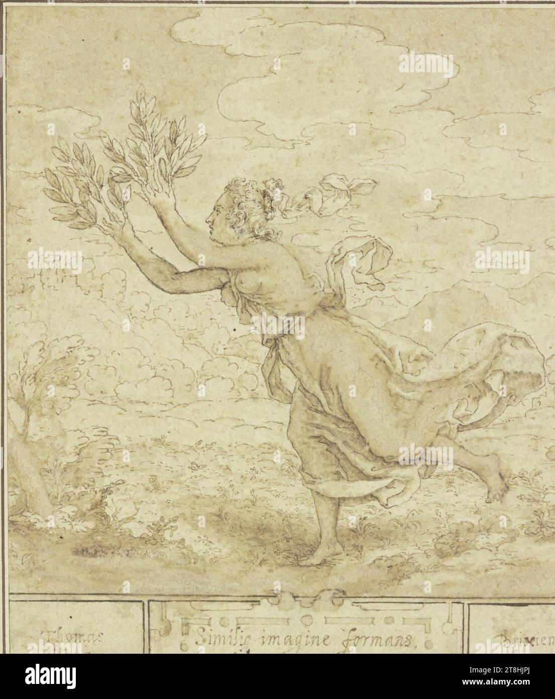 Boethius tree hi-res stock photography and images - Alamy