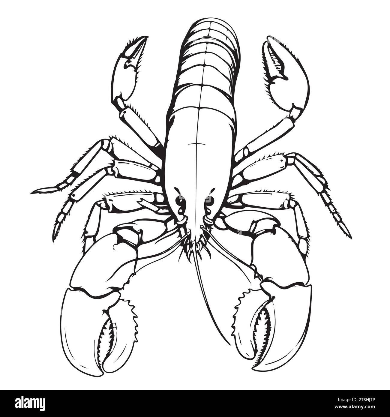 Lobster hand drawing vintage engraving illustration Stock Vector Image