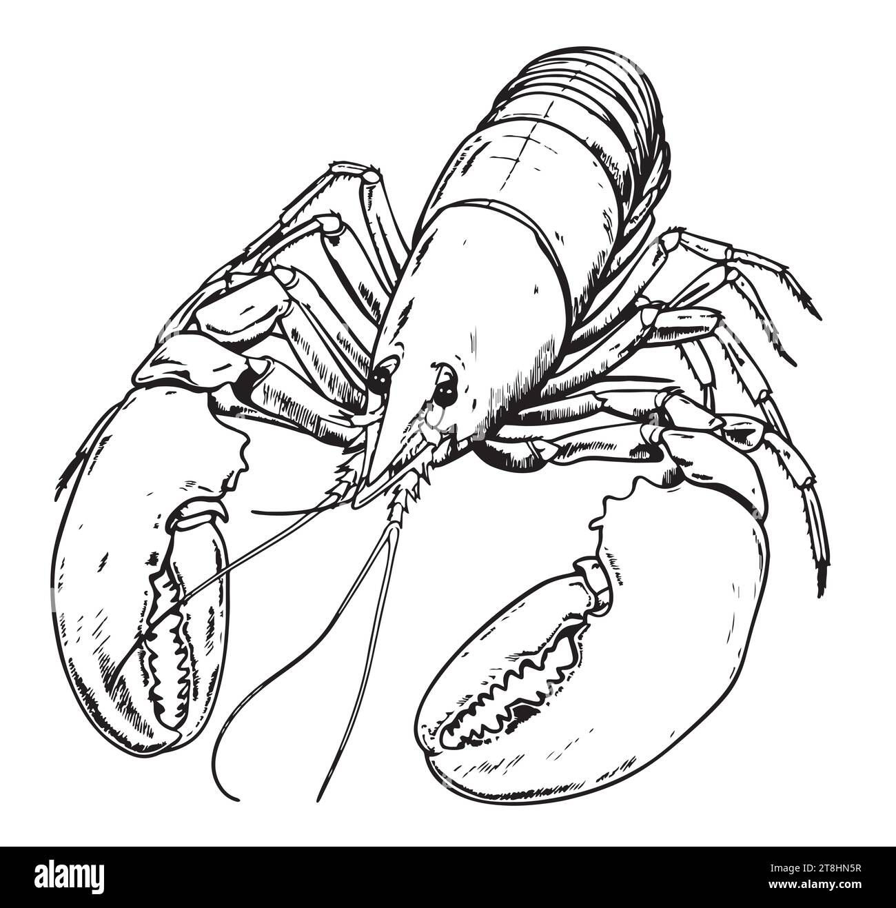 Lobster hand drawing vintage engraving Vector illustration Stock Vector