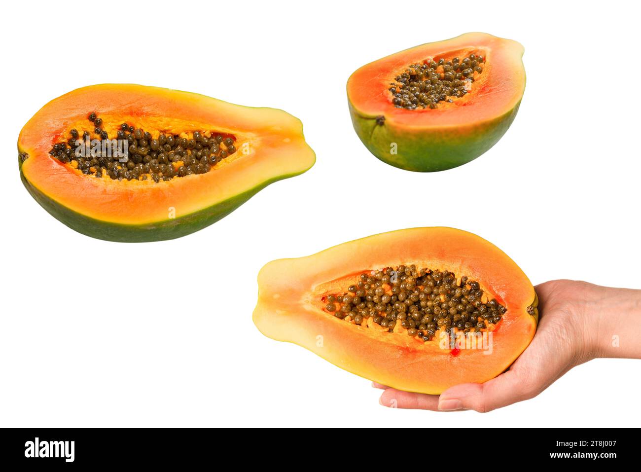 Papaya fruit isolated on a white background in woman hands. Tropical