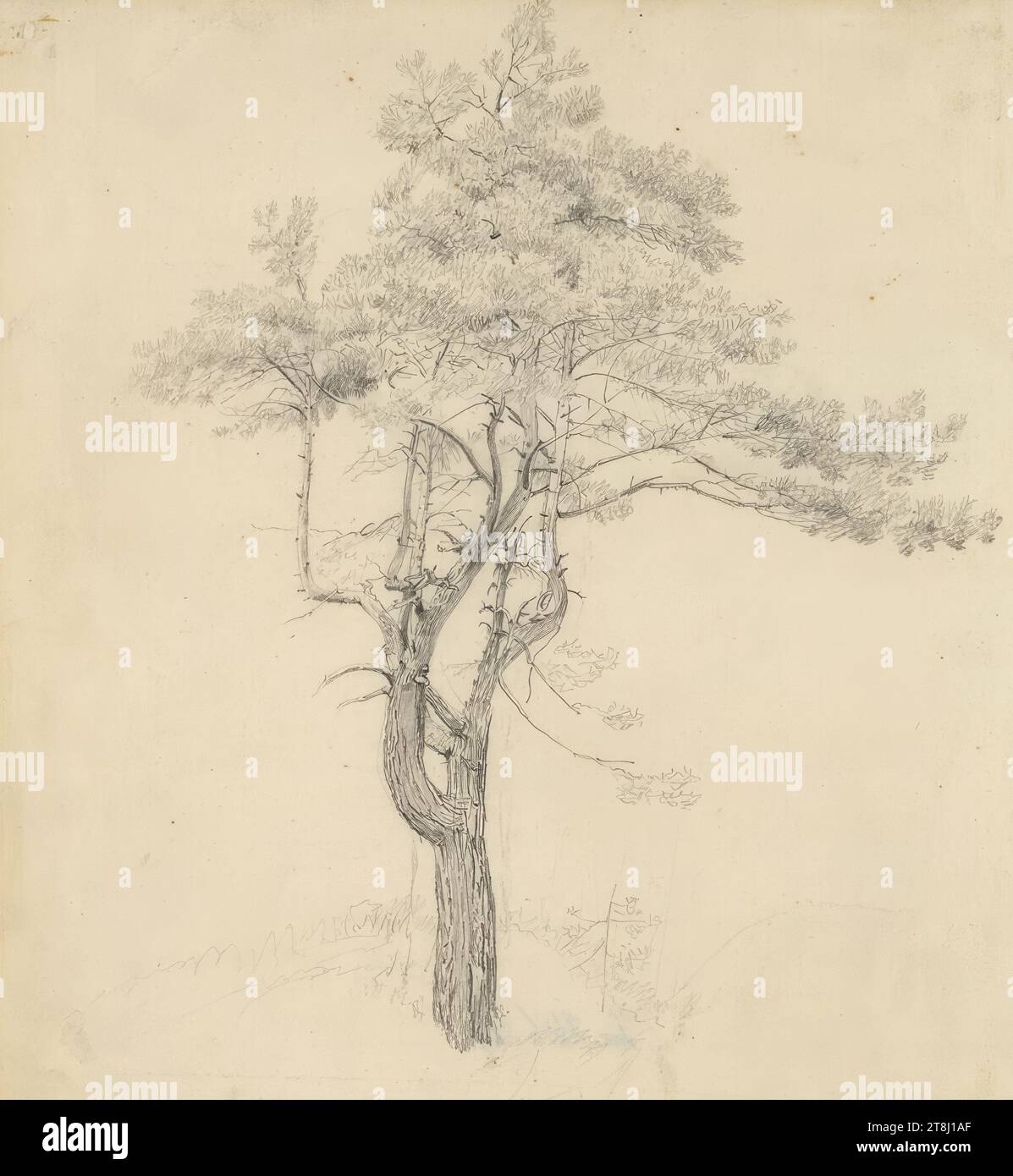 1818 pencil drawing hi-res stock photography and images - Alamy