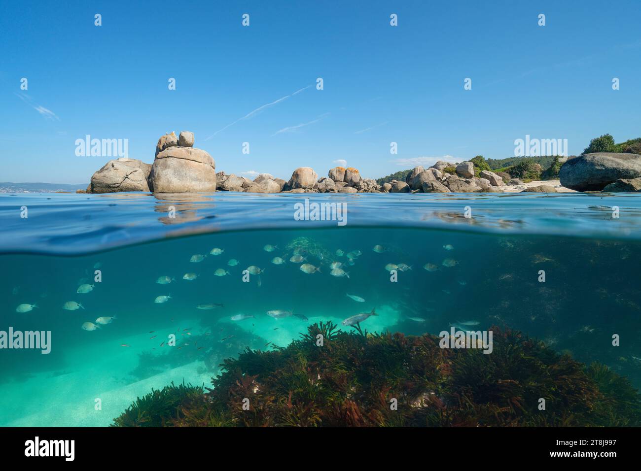 Spain Atlantic ocean seascape, coastline with boulders and fish underwater (seabreams), natural scene, split level view over and under water surface Stock Photo