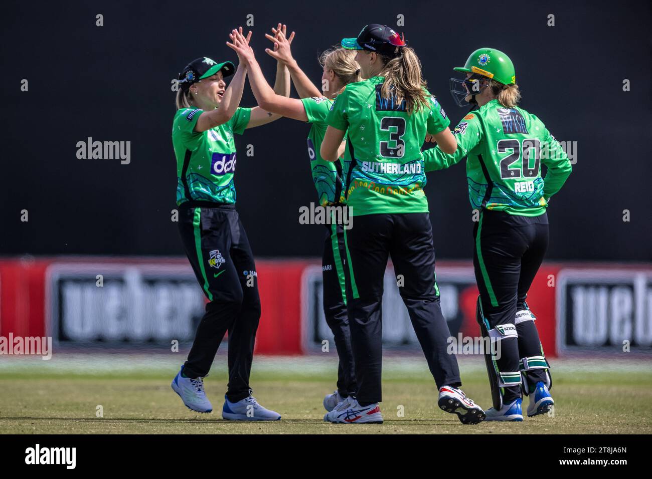 Melbourne, Australia, 19 November, 2023. Melbourne Stars players celebrating the fall of a wicket during Weber Women's Big Bash League (WBBL 09) match between Melbourne Stars Women and Brisbane Heat Women at the CitiPower Centre on November 19, 2023 in Melbourne, Australia. Credit: Santanu Banik/Speed Media/Alamy Live News Stock Photo