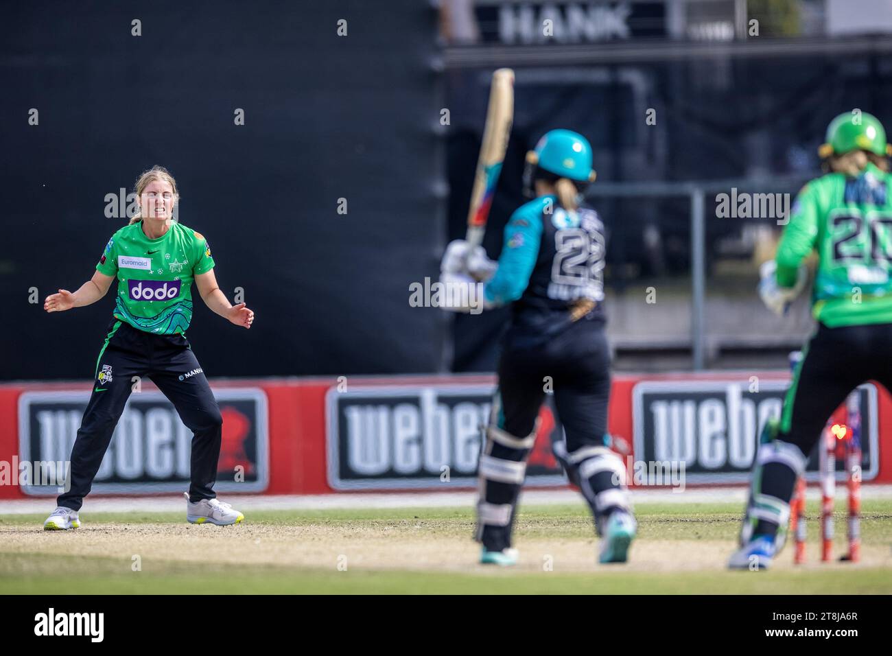 melbourne-australia-19-november-2023-melbourne-stars-player-sophie