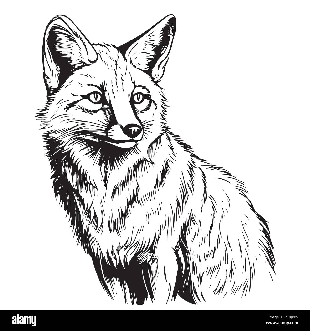 Fox sitting comic. Graphic, sketch, black and white, hand-drawn