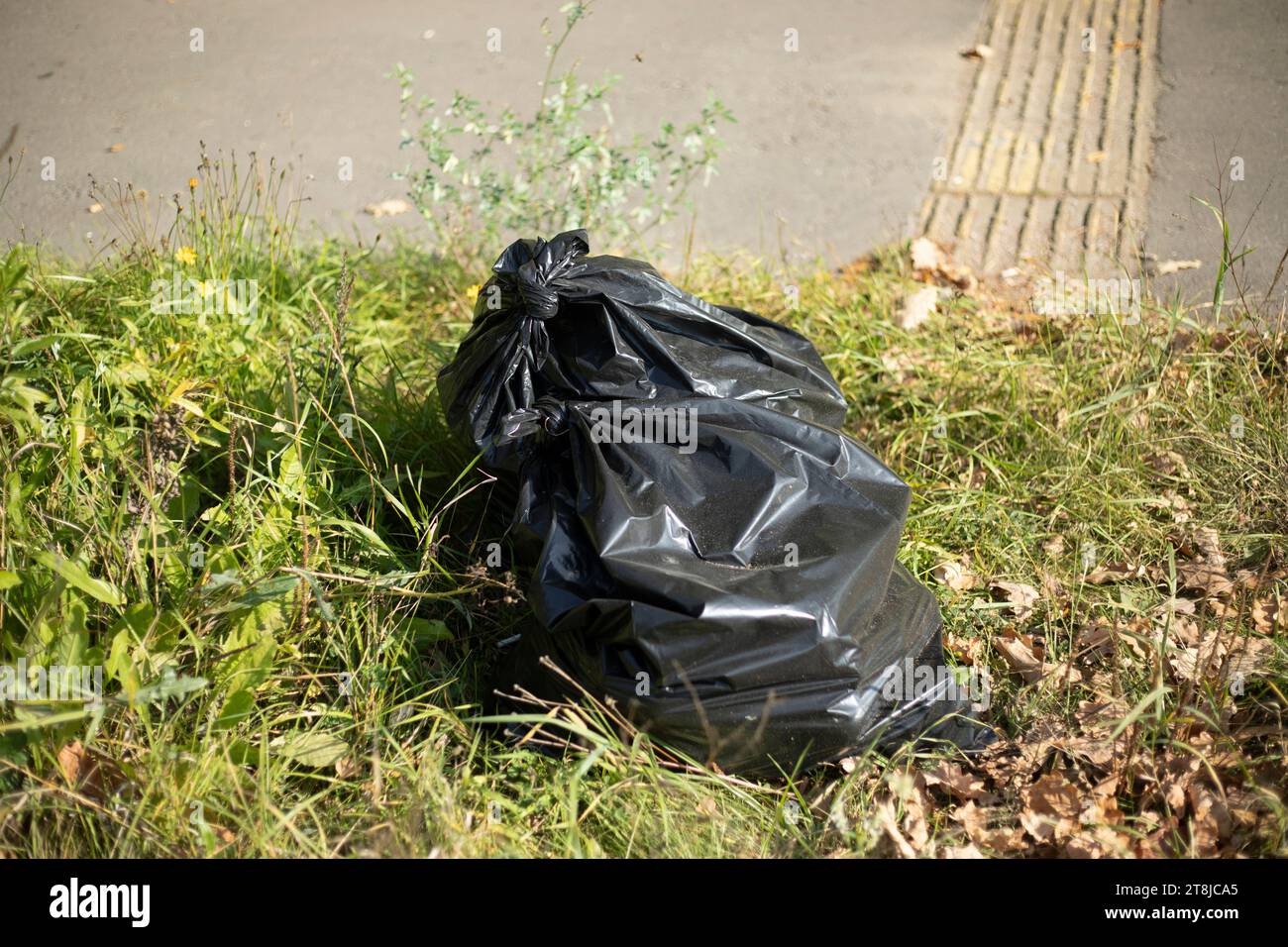 Garbage bag. Black Waste Bag. Waste disposal. Bag in the park Stock