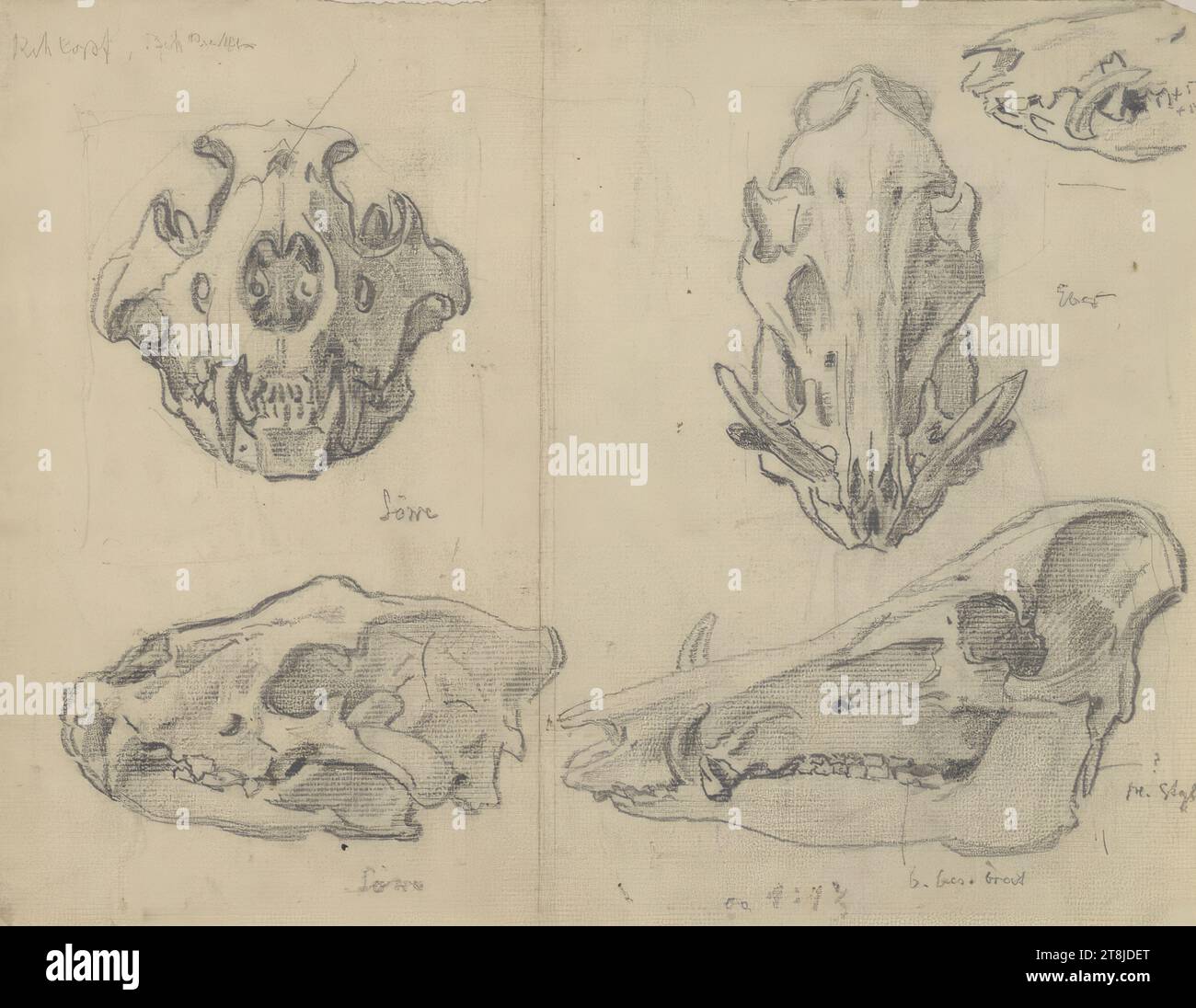 Skull formations lion, boar, Hermann Heller, Vienna 1866 - 1949 ...