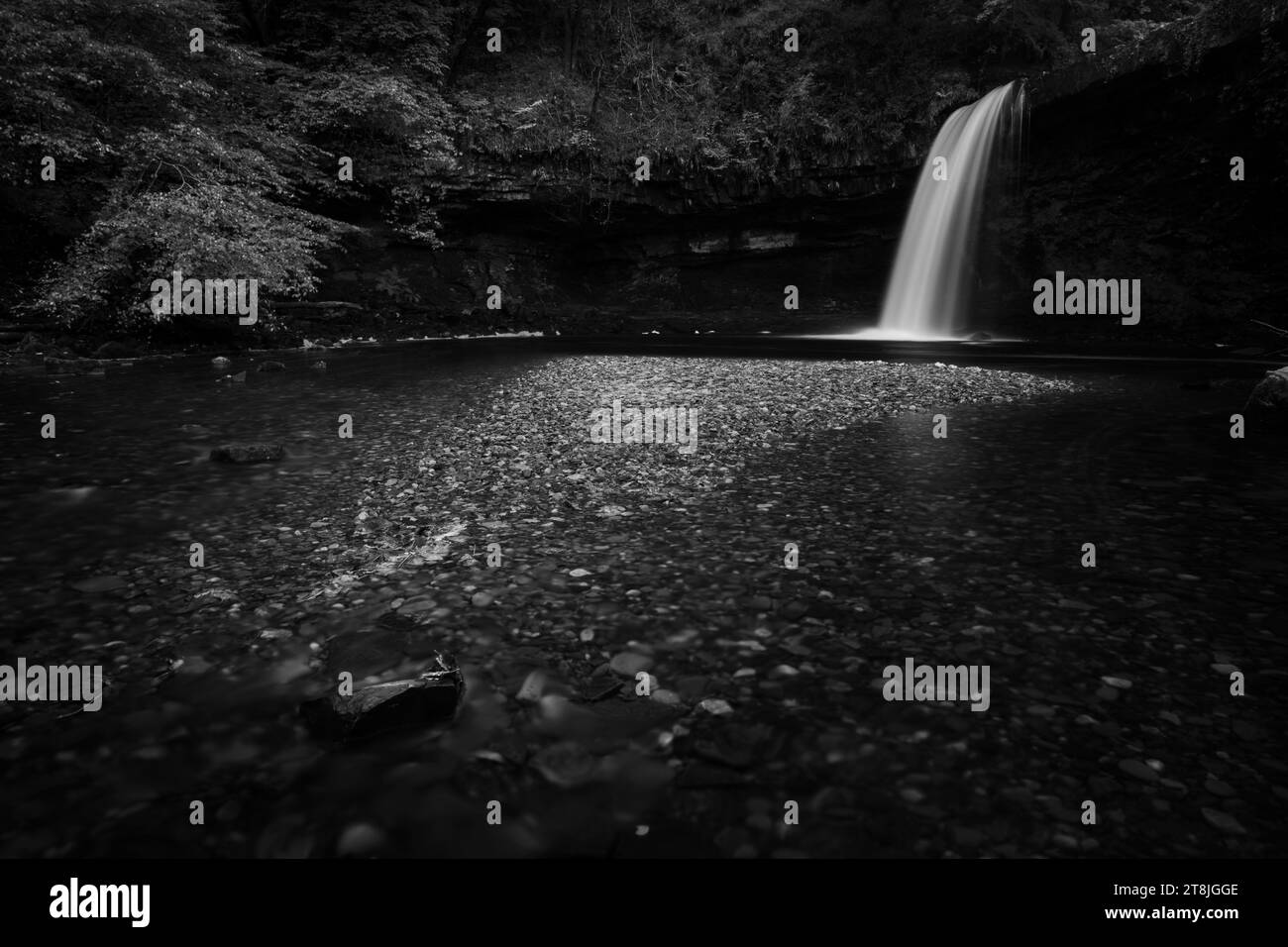 Mysterious Sgwd Gwladys waterfall in black and white in the Brecon Beacons (Bannau Brycheiniog) National Park Stock Photo